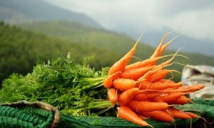 морковь с ботвой