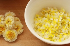 цветки хризантемы увенчанной в чашке