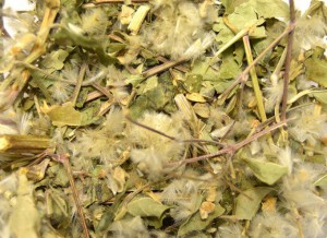 Ломонос виноградолистный трава сушеная