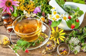 лечебные травы и чай в чашке