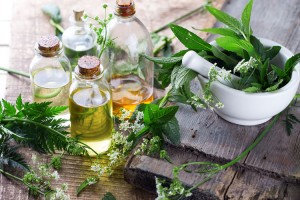 лечение мигрени травами масла и растения